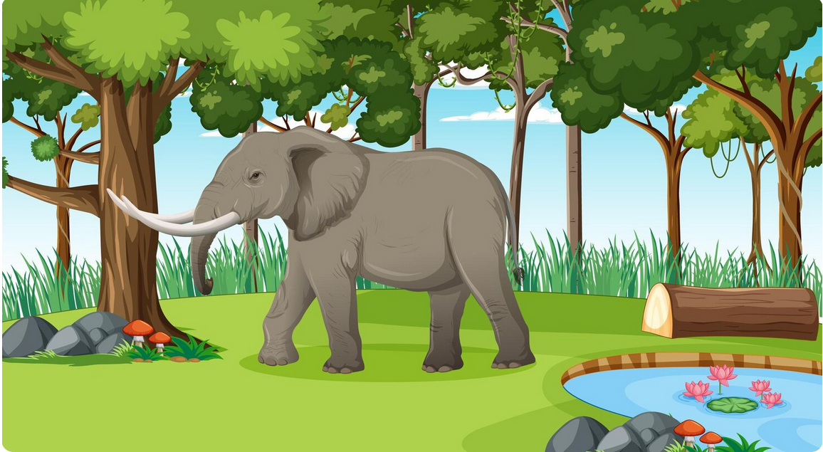 Elephant Safari